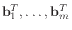 $ \mathbf{b}_1^T,\ldots,\mathbf{b}_m^T$