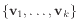 $ \{\mathbf{v}_1,\ldots,\mathbf{v}_k\}$