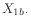 $ X_{1b \cdot}$